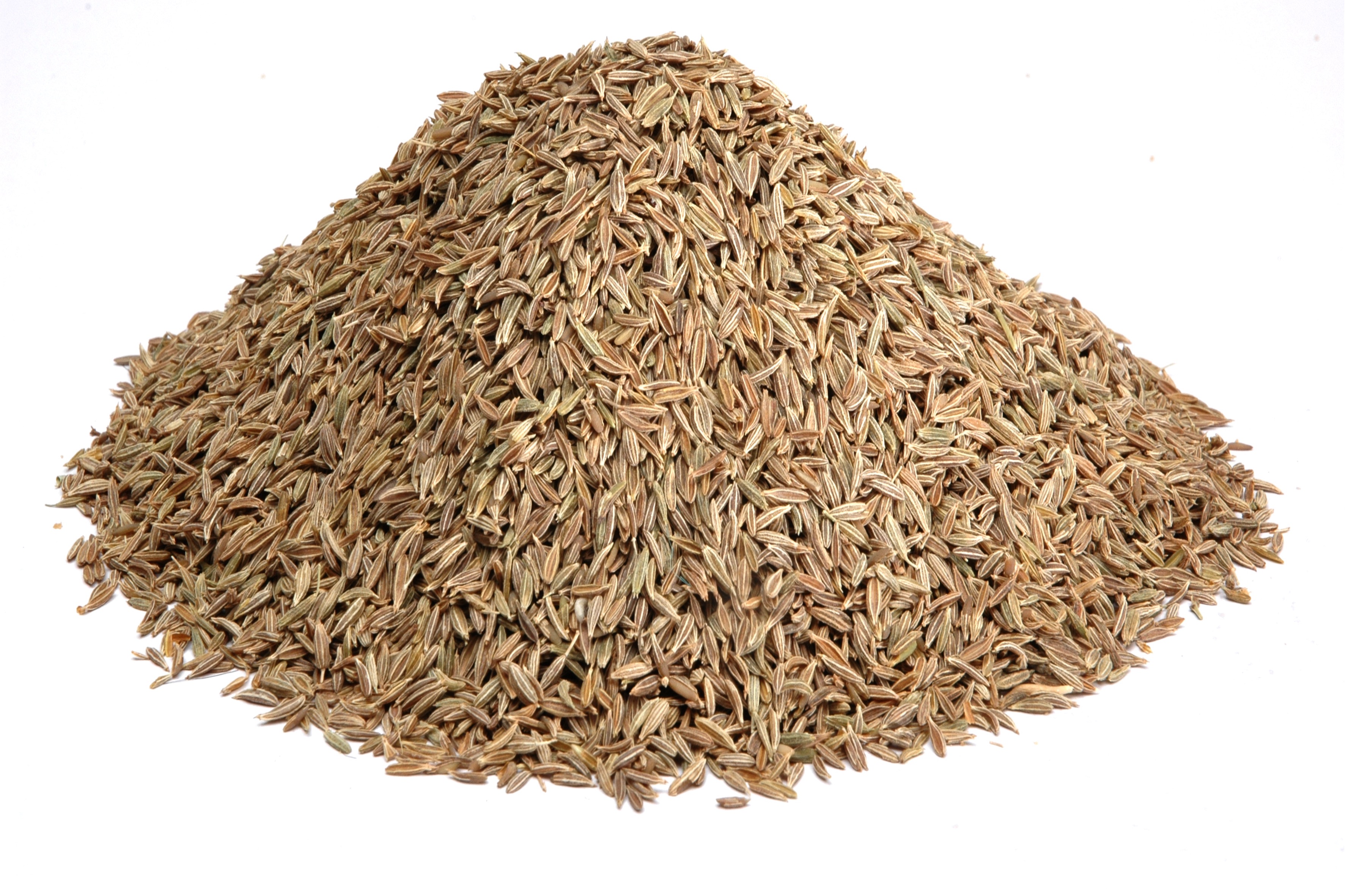 P2507-BLCu Cumin - blank