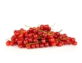 Picture of Red currant